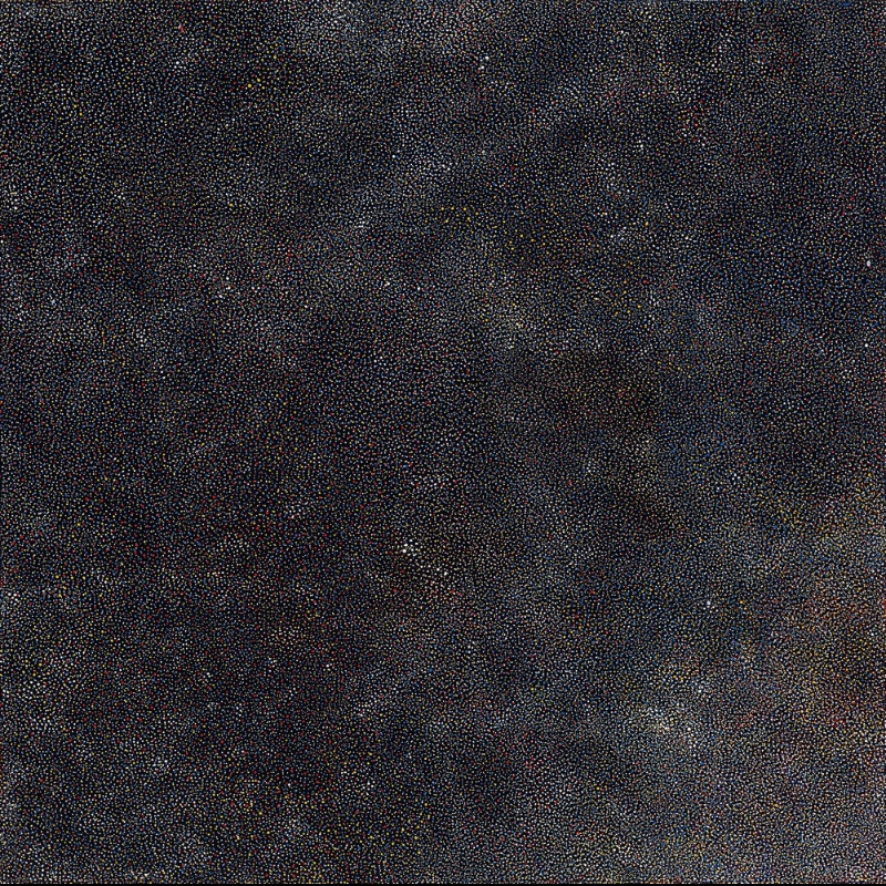 Bush Plum painting by Angelina Pwerle, densely covered with thousands of minute white, yellow, red and blue dots forming subtle shifting patterns across a black ground.