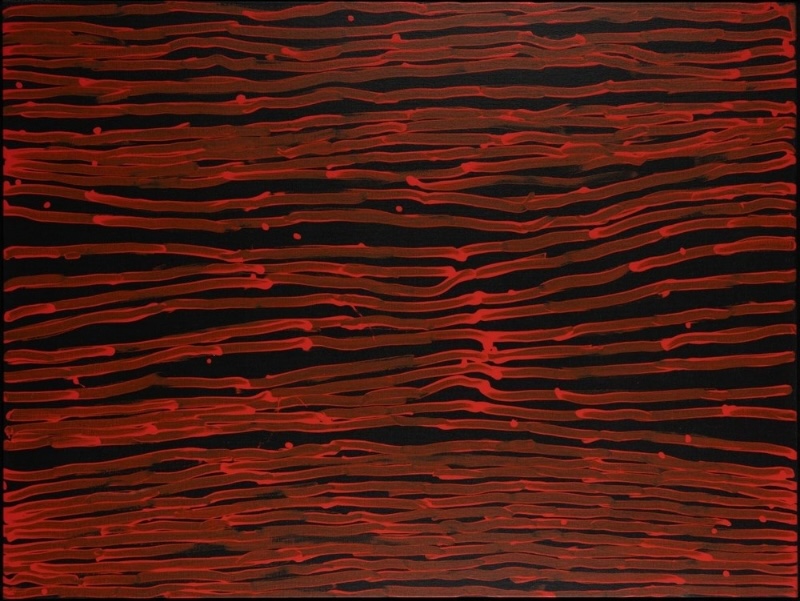 Minnie Pwerle painting of closely spaced red and dark ochre horizontal lines flowing across a black background, with small red marks scattered between them.