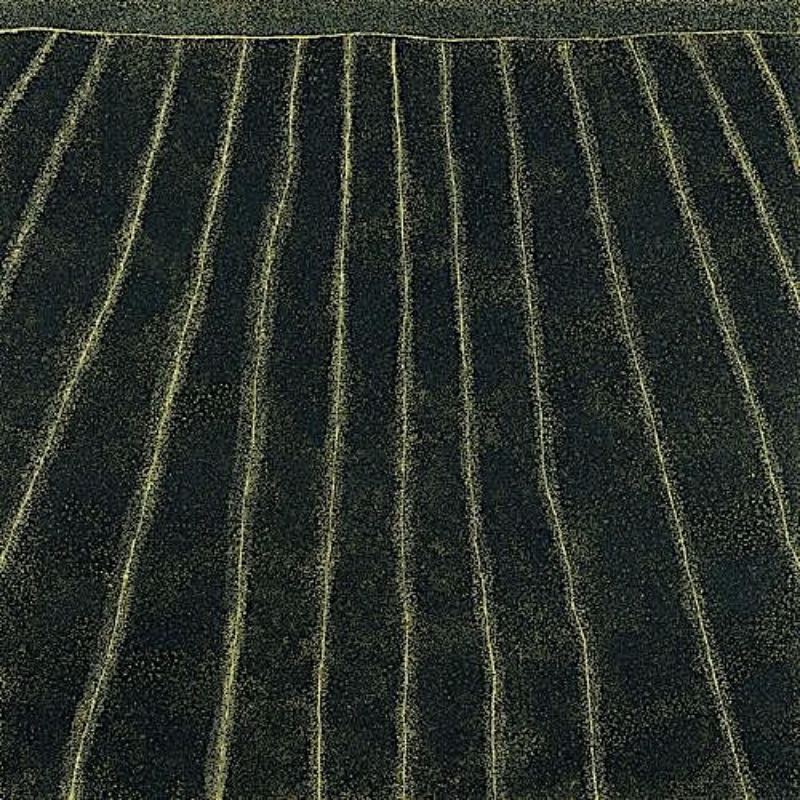 Kathleen Petyarre’s Mountain Devil Lizard – My Country, 2003, with long parallel ochre lines extending through dense fine dotting on a dark ground.