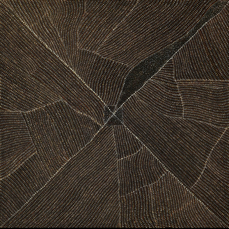 Kathleen Petyarre’s Mountain Devil Lizard Dreaming, 2005, with intersecting lines, an elongated dark form and precisely ordered fine dots on a black ground.