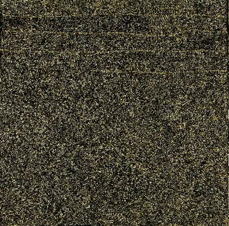 Kathleen Petyarre’s Bush Seeds, 2000, with thousands of pale ochre dots forming dense shifting patterns across a black ground.