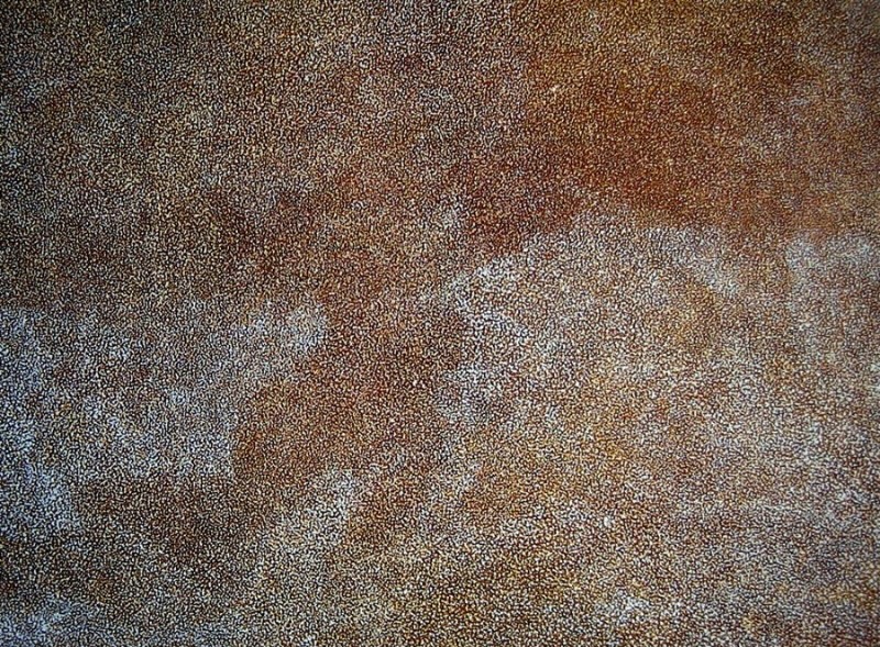 Kathleen Petyarre’s Atnangkere, 1996, with dense ochre, white and blue-grey fine dotting forming broad shifting areas across the surface.