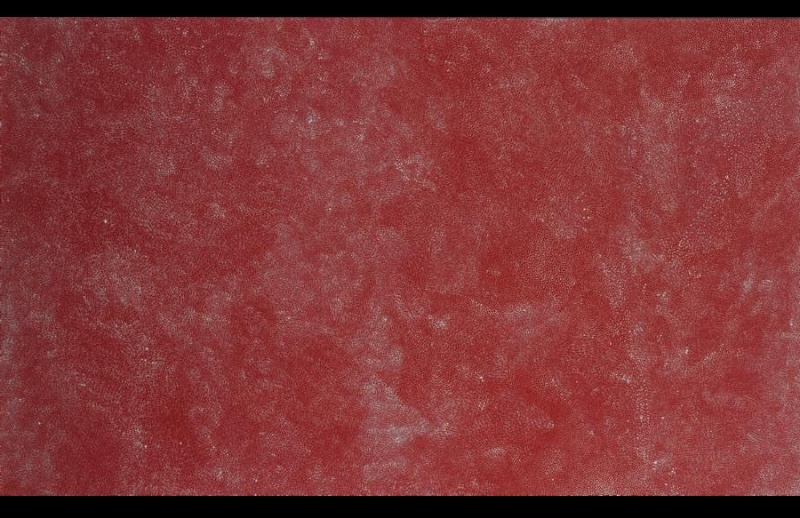 Bush Plum painting by Angelina Pwerle, with countless extremely fine pale marks forming subtle shifting patterns across a deep red ground.