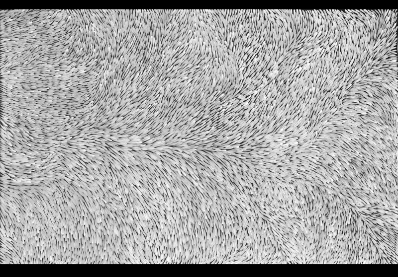 Black-and-white painting by Gloria Petyarre filled with overlapping curved forms containing closely spaced parallel black lines, creating a dense web-like pattern.