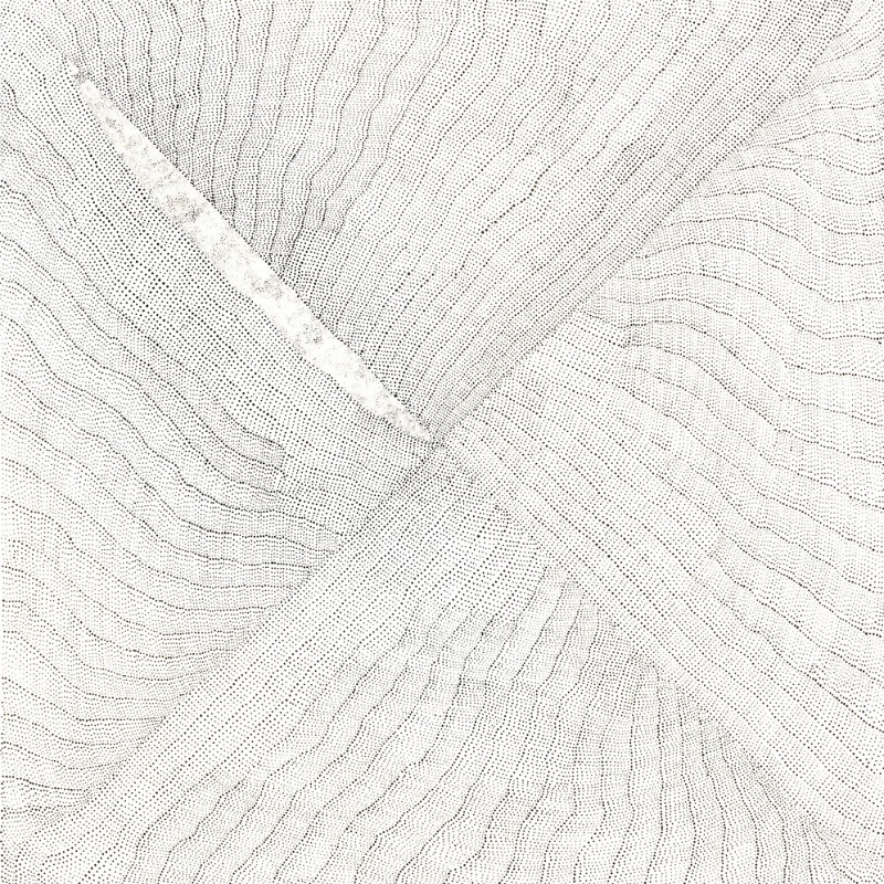 Kathleen Petyarre’s Mountain Devil Lizard Dreaming (After Hailstorm), 2001, with flowing fields of fine dark dots and an elongated pale form on a white ground.