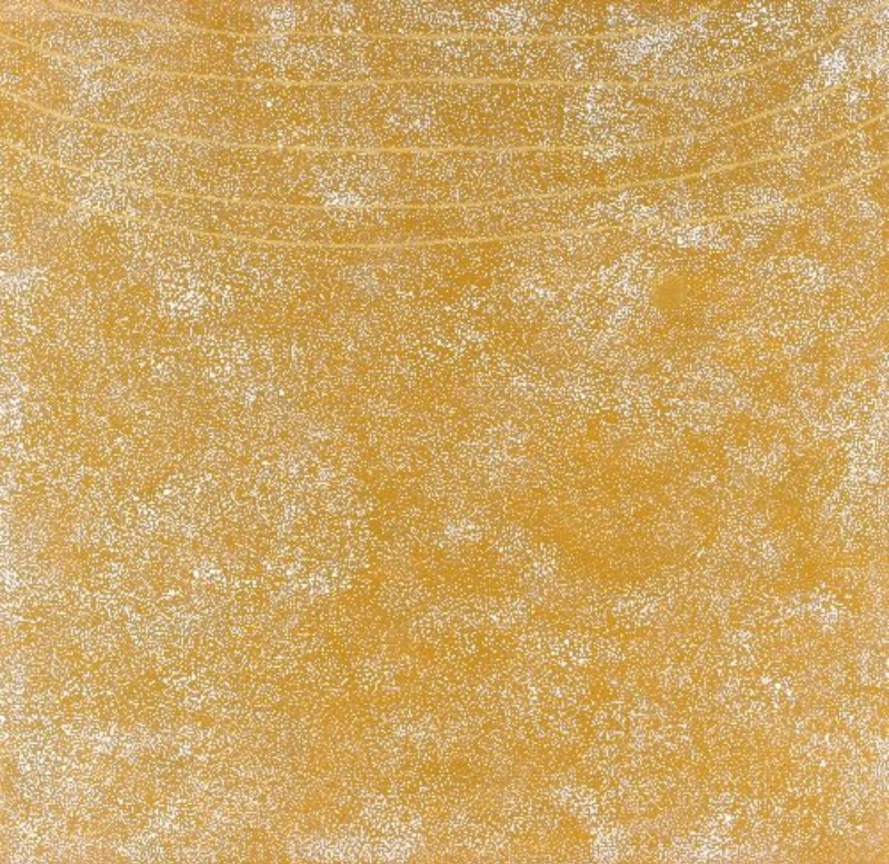 Kathleen Petyarre’s My Country, 2003, with dense white fine dotting and subtle parallel lines across a golden-ochre ground.
