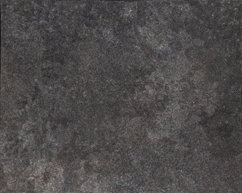 Anookitja (Bush Plum) by Angelina Pwerle, a dark grey and black painting densely covered with thousands of tiny pale marks forming softly shifting areas across the canvas.