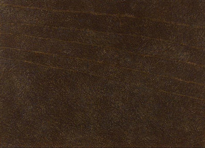 Kathleen Petyarre’s My Country, 1998, with dense golden-ochre fine dotting and subtle parallel lines extending across the composition.
