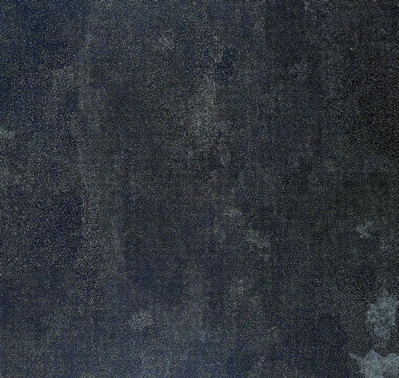 Bush Plum painting by Angelina Pwerle, densely covered with countless tiny pale dots forming subtle shifting patterns across a deep blue-black ground.