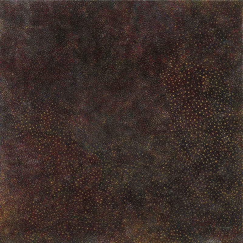 Bush Plum painting by Angelina Pwerle, densely covered with thousands of minute yellow, red, pink and pale dots forming subtle shifting fields across a black ground.
