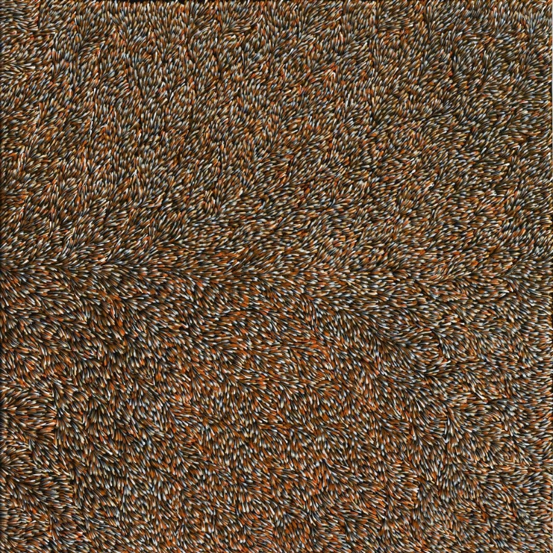 Gloria Petyarre painting densely covered with thousands of small white, ochre and brown leaf-shaped brush marks flowing in swirling currents.