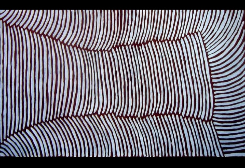 Painting by Gloria Petyarre with closely spaced white curved lines arranged in adjoining rectangular fields against a dark red-brown ground.