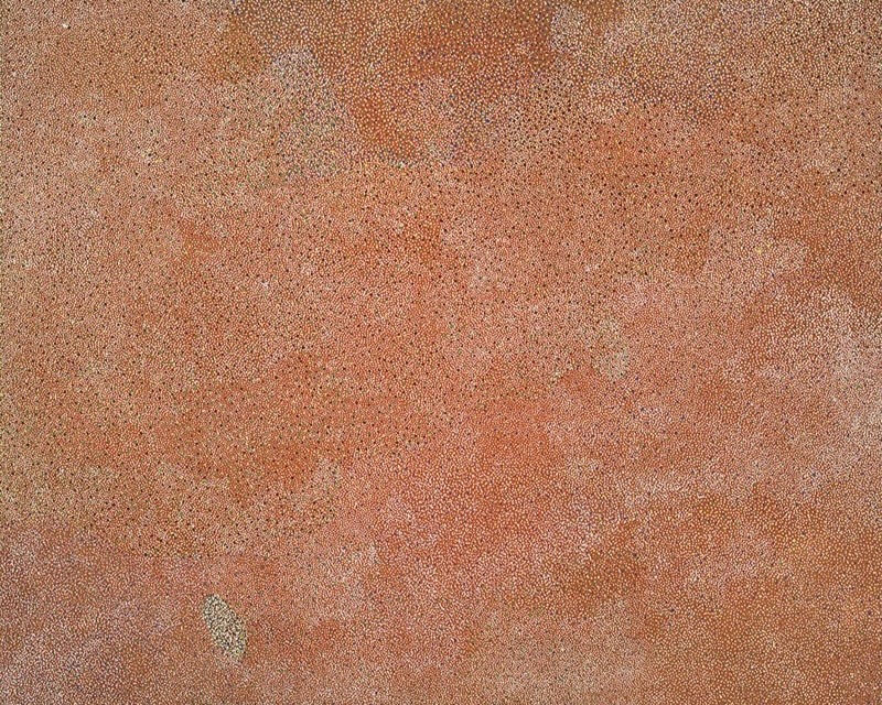 Bush Plum painting by Angelina Pwerle, densely covered with thousands of tiny pale, pink and ochre dots forming softly shifting areas across a warm reddish ground.