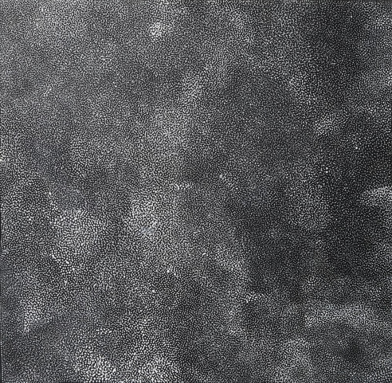 Black and white Bush Plum painting by Angelina Pwerle, densely covered with thousands of tiny white marks forming shifting clusters across a black ground.