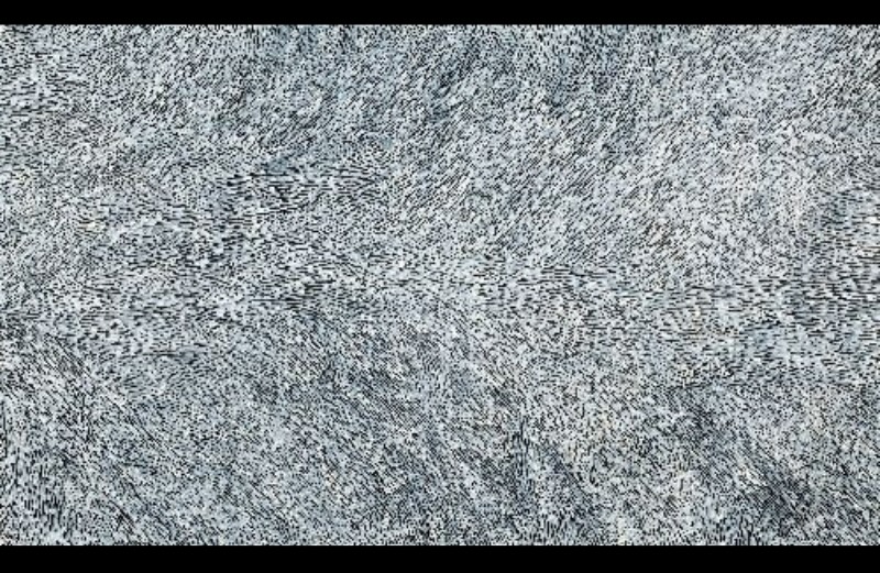 Large black-and-white painting by Gloria Petyarre filled with countless fine leaf-like strokes flowing in broad, shifting currents across the canvas.