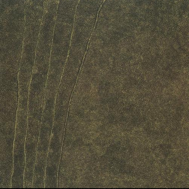 Kathleen Petyarre’s My Country, 1999, with dense golden-ochre fine dotting and several long parallel lines running through a dark ground.