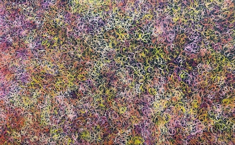 Gloria Petyarre painting filled with thousands of fine looping marks in pink, yellow, green, orange, violet and white over a dark ground.