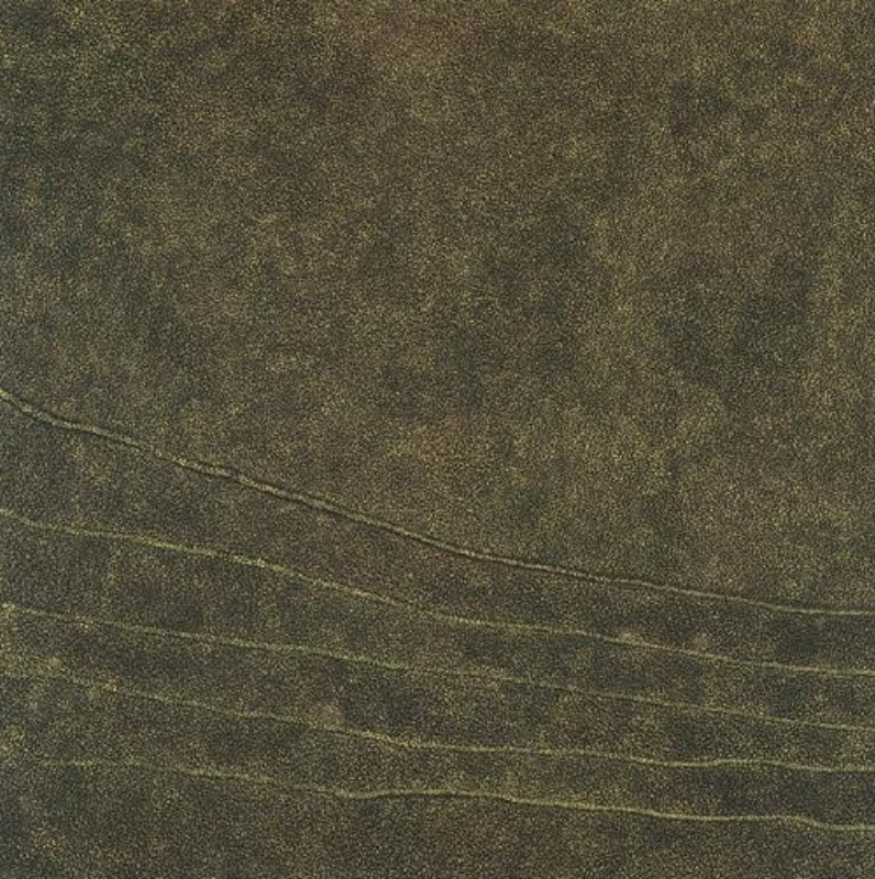 Kathleen Petyarre’s Untitled, 1992, with an extremely dense field of fine ochre dots crossed by subtle curving linear forms.