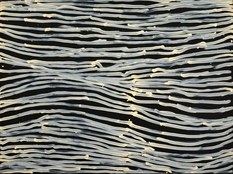 Minnie Pwerle painting of numerous pale grey-white horizontal lines flowing and bending across a black background, interspersed with small cream-coloured marks.