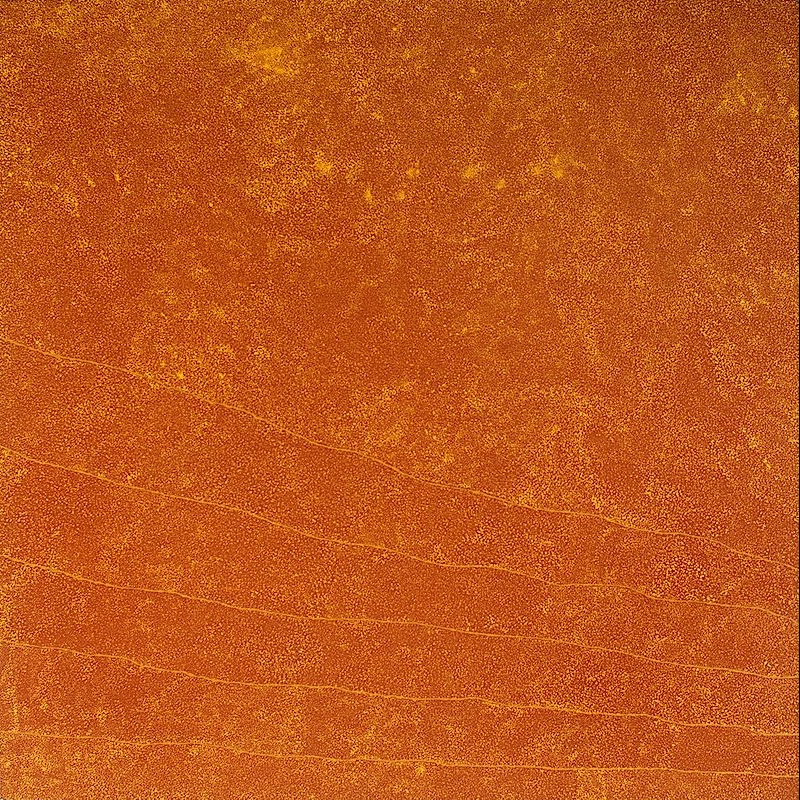 Kathleen Petyarre’s My Country – Bush Seeds (After Sandstorm), 2010, with dense orange dotting and parallel lines crossing the lower composition.