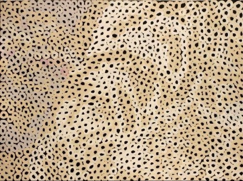 Minnie Pwerle painting densely covered with thousands of small cream and pale pink rings and irregular seed-like marks across a black background.
