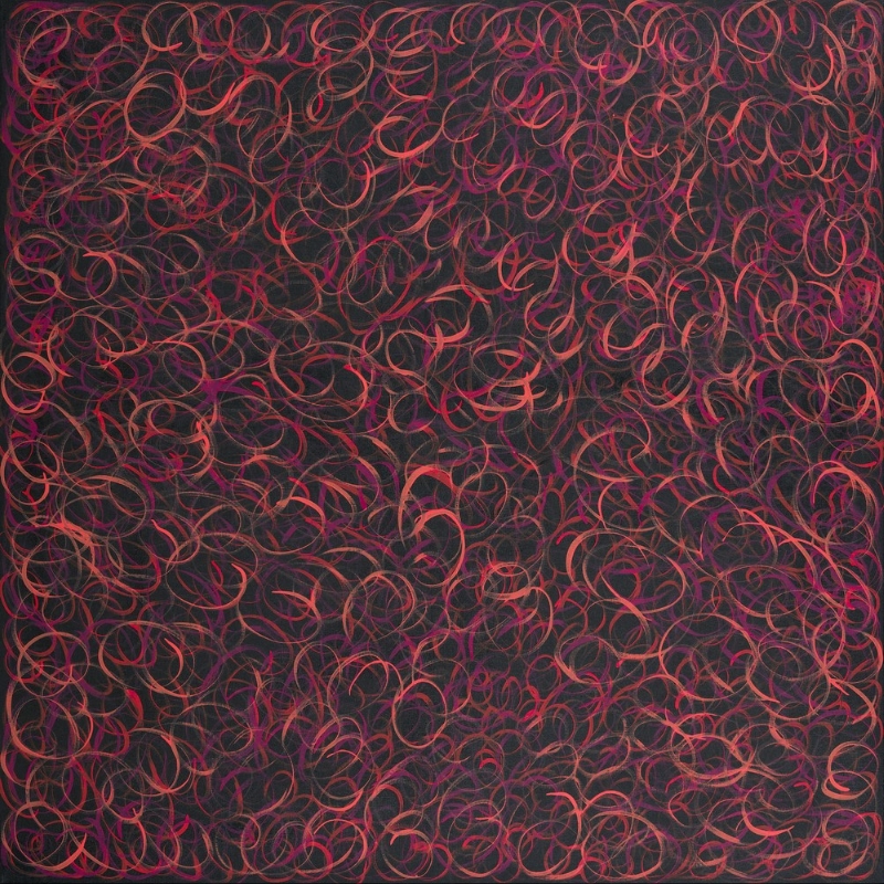 Gloria Petyarre painting filled with hundreds of overlapping red, pink and purple looping lines swirling across a dark black ground.