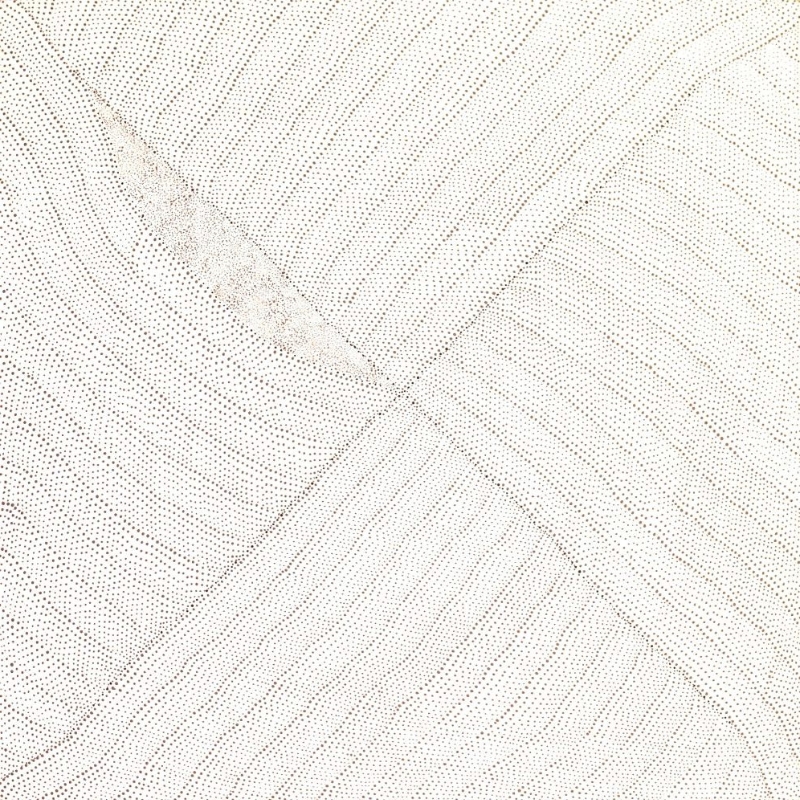 Kathleen Petyarre’s Mountain Devil Lizard Dreaming, 2004, with fine dark dotting flowing around intersecting lines and an elongated form on a white ground.
