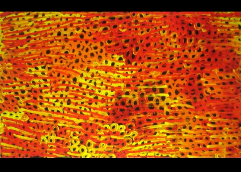 Minnie Pwerle painting densely covered with vivid red, orange and yellow horizontal lines and numerous small ring-like forms across a dark ground.