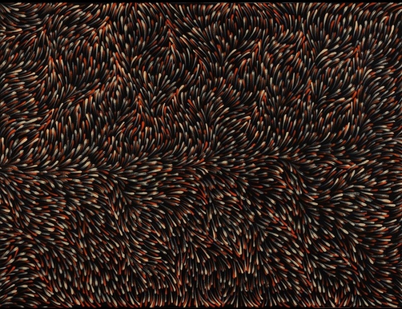 Gloria Petyarre painting of dense red, white, grey and brown leaf-shaped brush marks flowing in swirling patterns across a black ground.