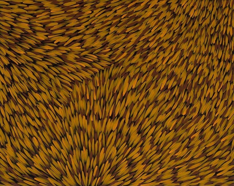 Painting by Gloria Petyarre filled with thousands of elongated yellow, ochre and brown leaf-like brush marks flowing in different directions across a dark ground.