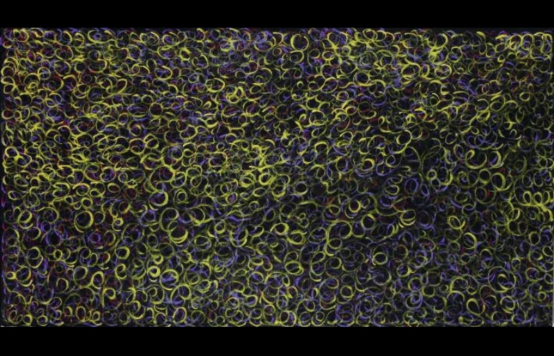 Gloria Petyarre painting filled with hundreds of overlapping yellow-green and purple curling loops against a dark ground.