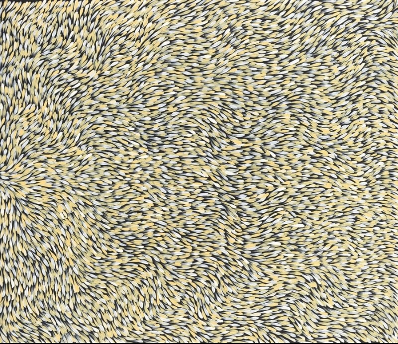 Gloria Petyarre painting with thousands of cream and pale yellow bush medicine leaves flowing in dense swirling patterns across a dark ground.