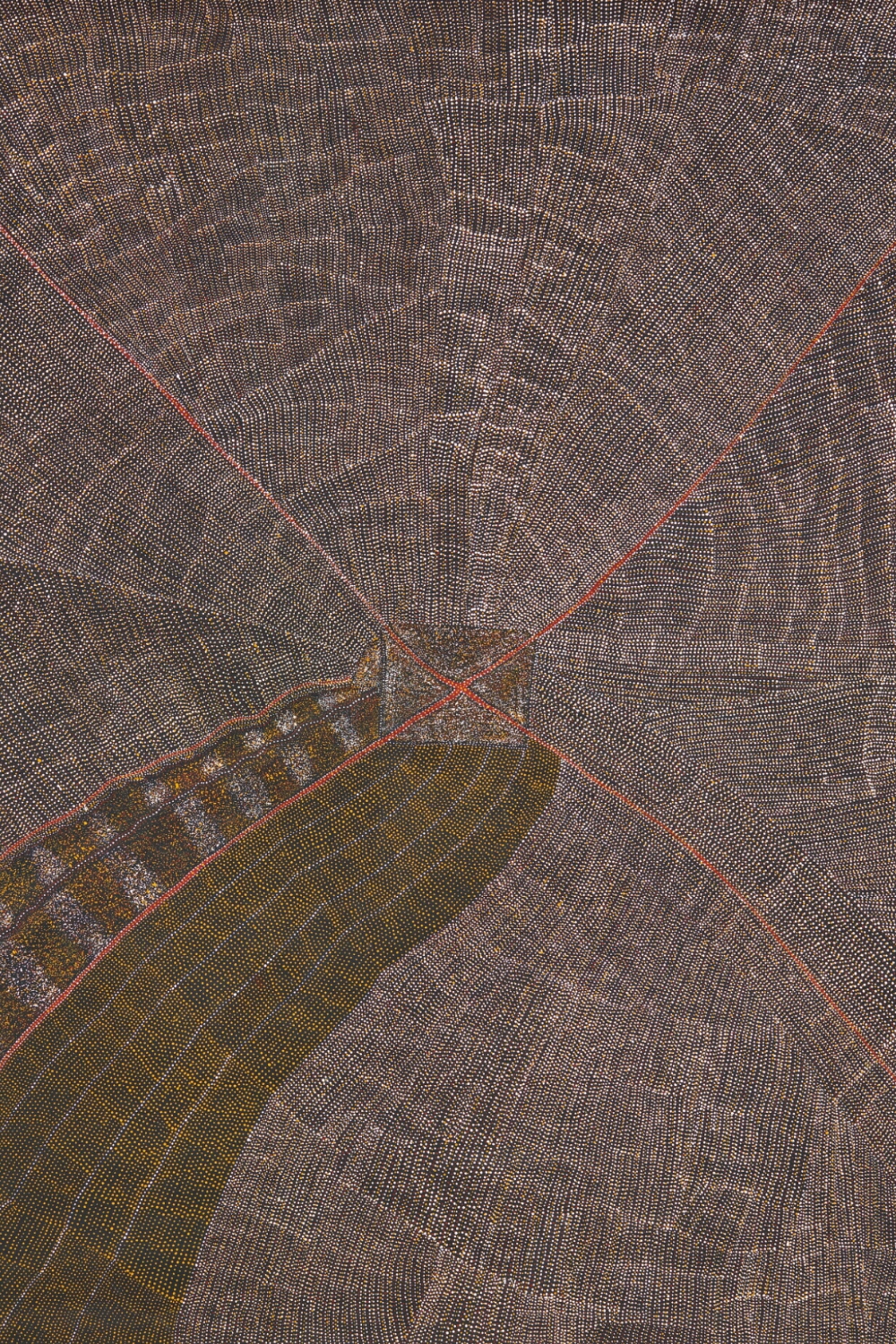 Kathleen Petyarre painting with dense fields of fine dots crossed by red diagonal lines and darker areas of Country.
