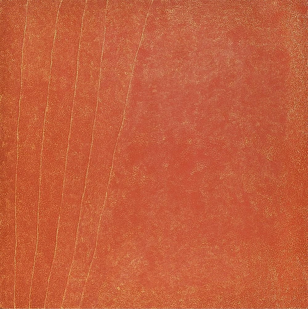 Kathleen Petyarre’s My Country, 2002, with dense fine dotting across a red-orange field and parallel lines representing sandhills.