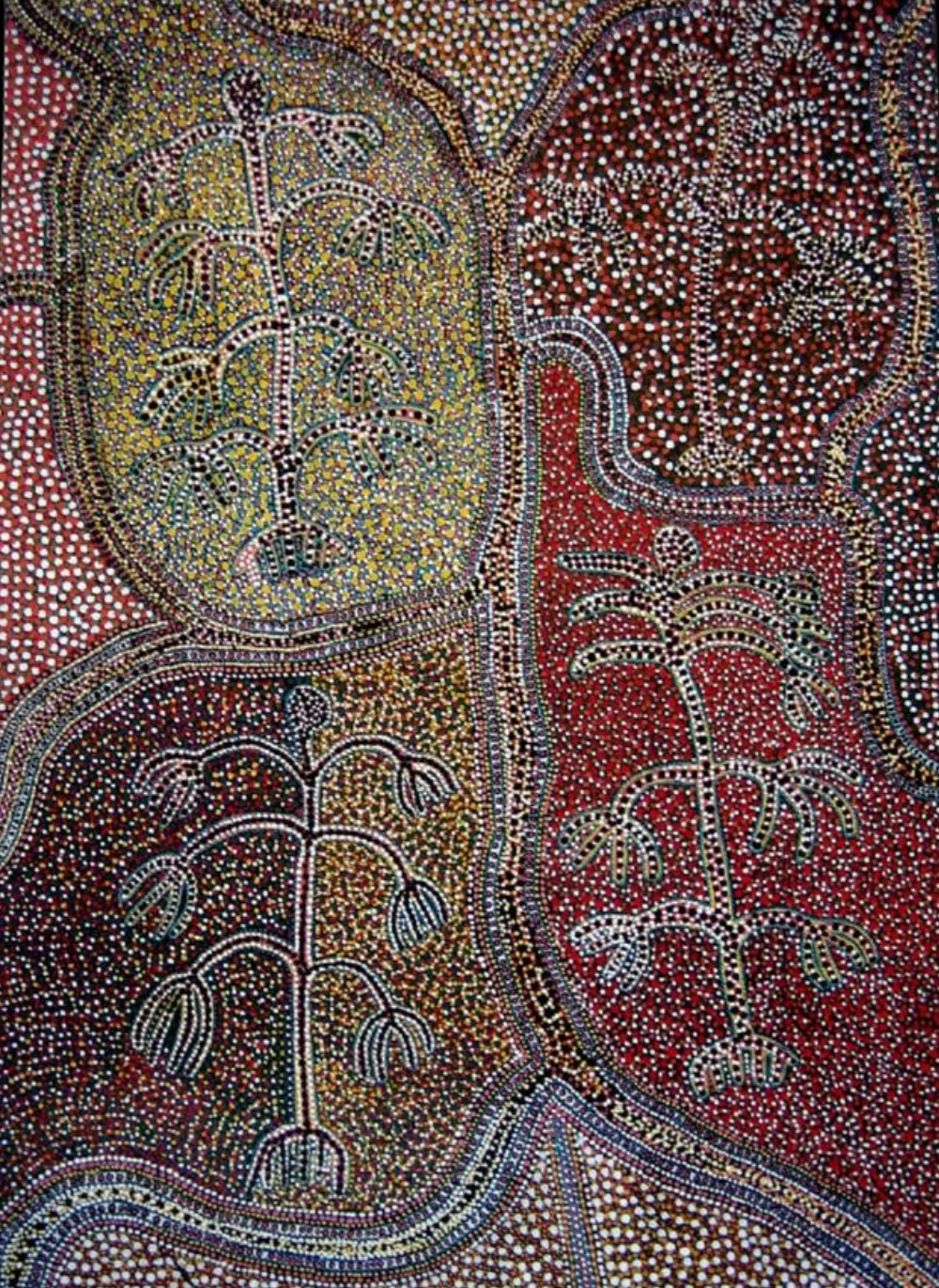 Ada Bird Petyarre Sacred Grasses painting with outlined plant forms surrounded by dense fields of coloured dots.