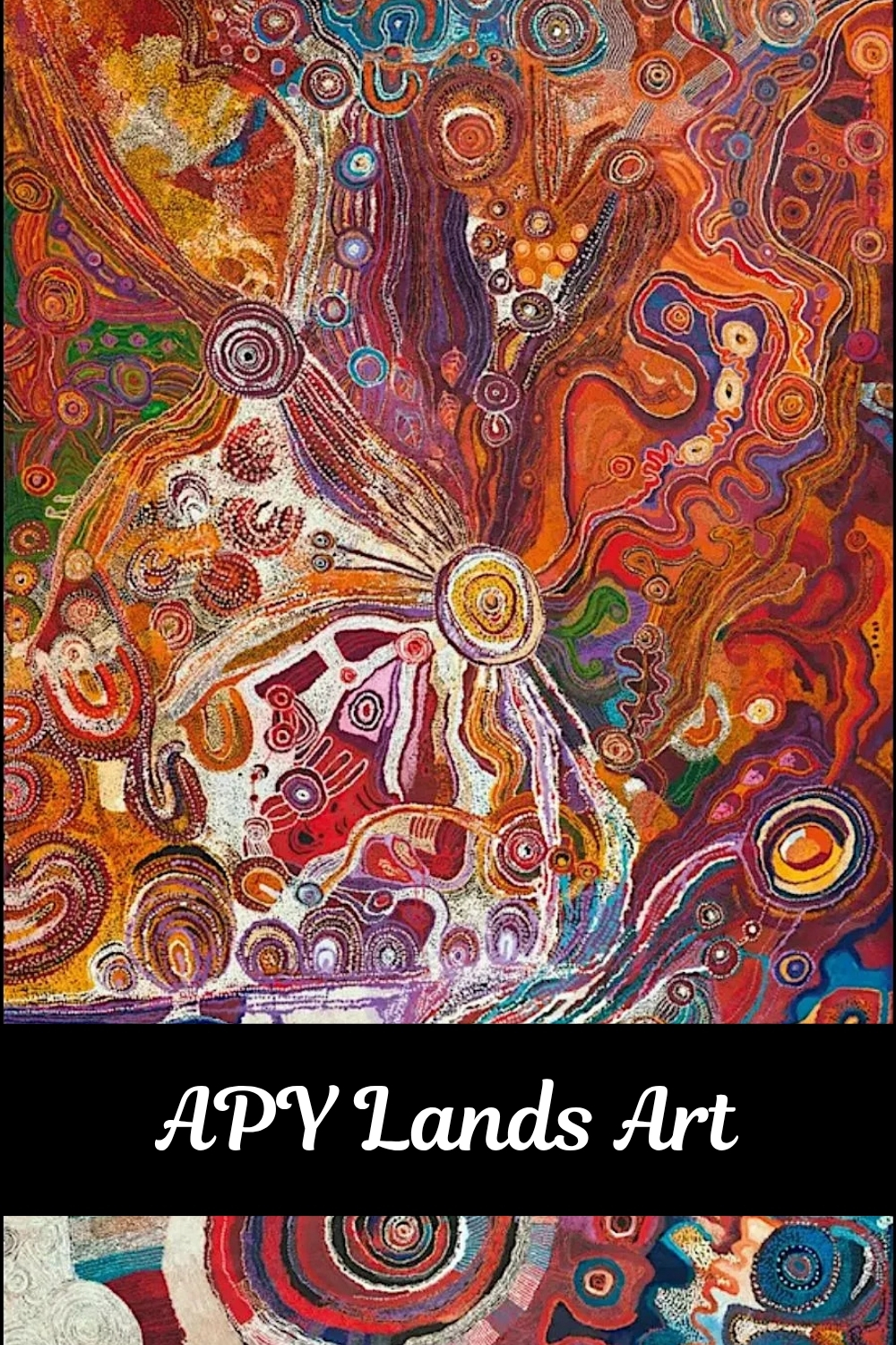 APY Lands Art – colourful Aboriginal painting featuring concentric circles, winding lines and intricate designs in red, orange, purple, blue and yellow.